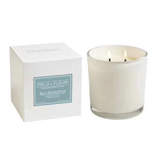 Blu Eucalyptus 2 Wick Boxed Candle