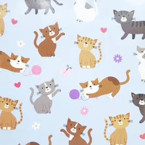 Cute Kittens Folded Gift Wrap