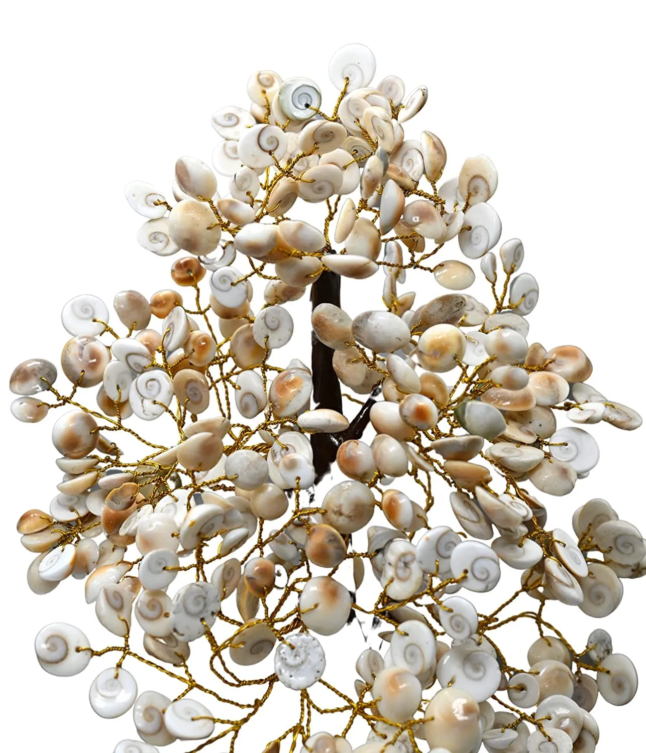 Galox Natural & Original Gomti Chakra | Gomati Chakra Tree for Good Luck & Prosperity Decorative Showpiece (500 Beads)