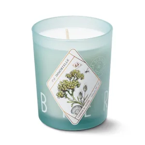 Immortelle Candle