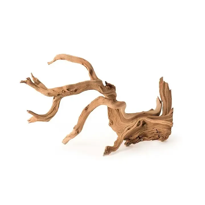 Manzanita Root