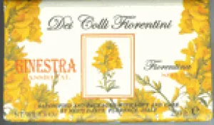 Nesti Dante Broom Soap (250gr/8.8oz)